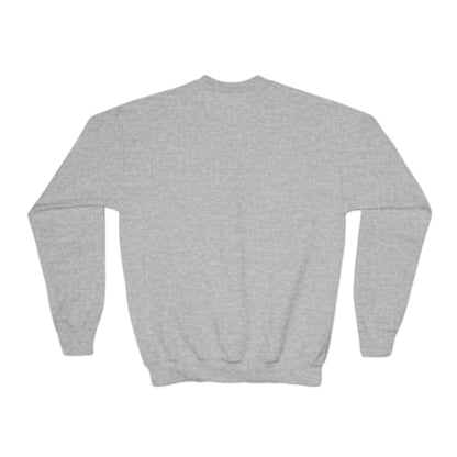 Sensory items: Youth Crewneck Sweatshirt