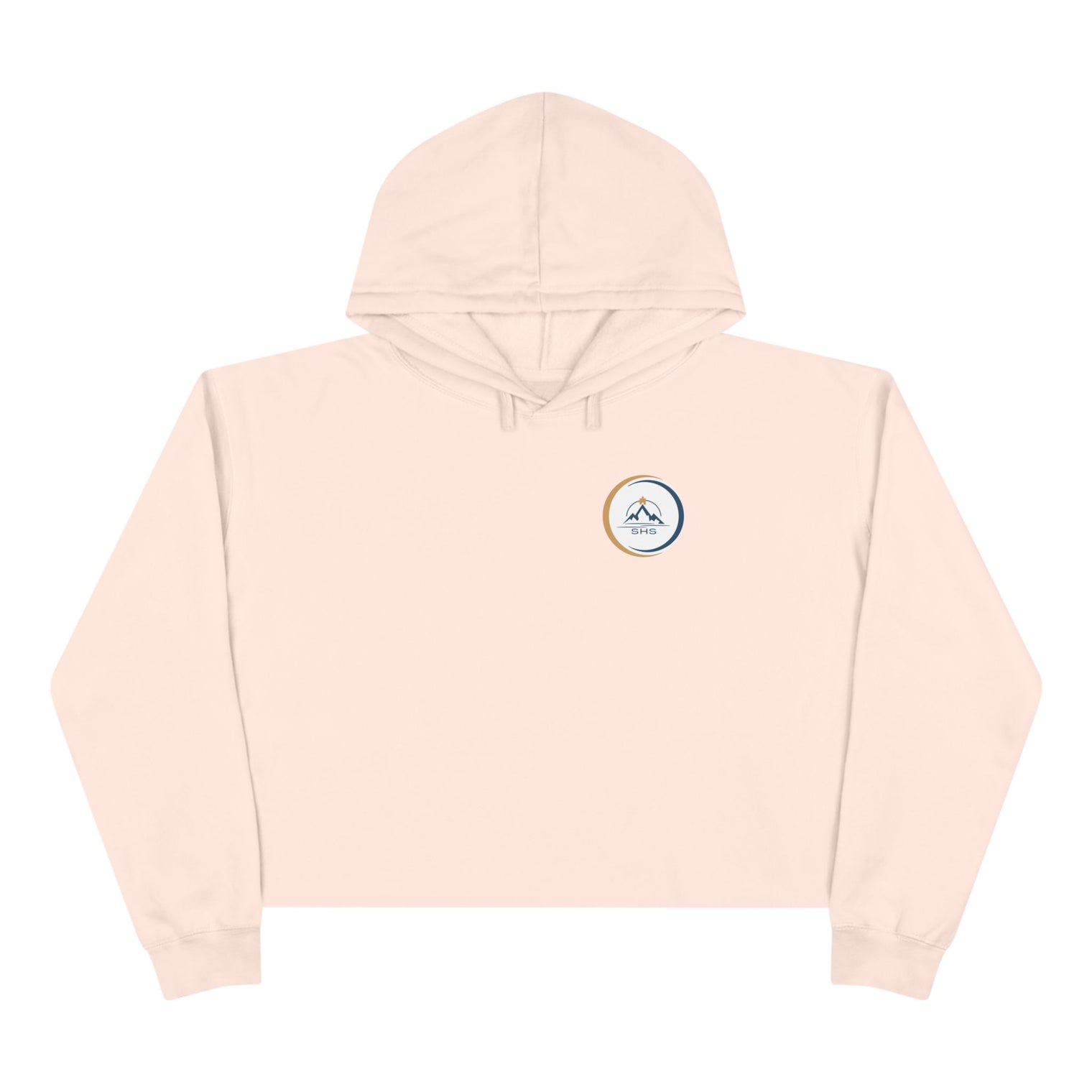 ABA Crop Hoodie