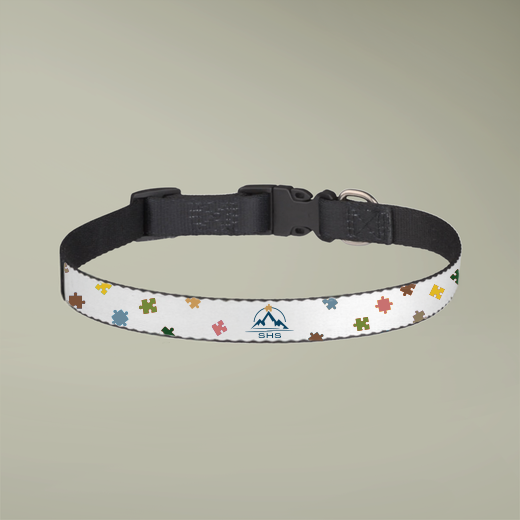 Clip-on Pet Collar