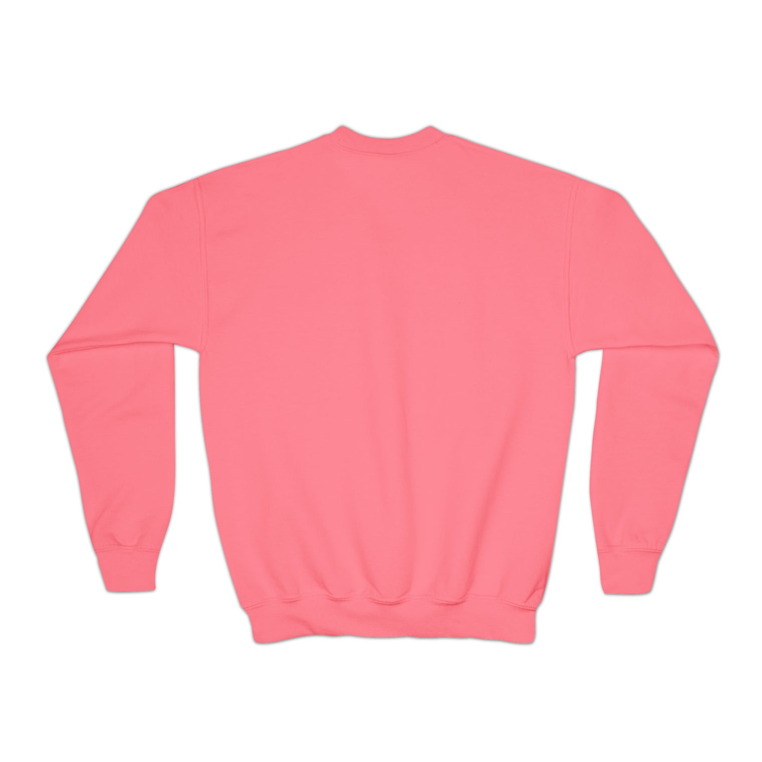 Sensory items: Youth Crewneck Sweatshirt